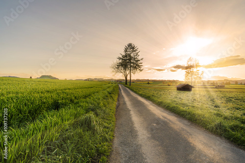 Ländlicher Weg durch Felder und Wiesen bei Sonnenuntergang