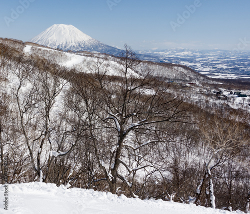 Moiwa Ski Resort Backcountry With a View of Mount Youtei photo