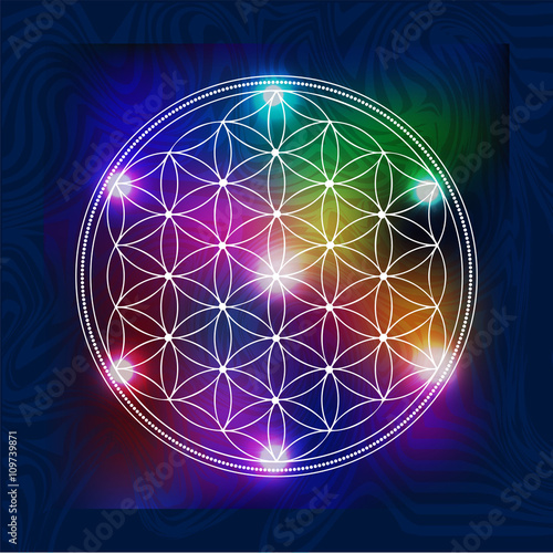 Sacred Geometry  5