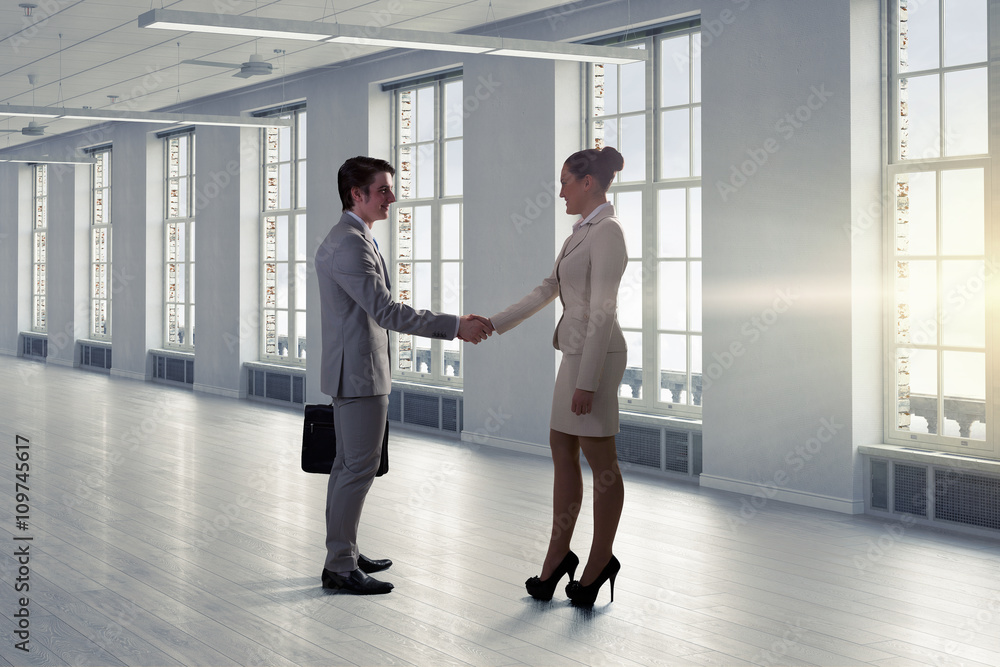Business partners handshake Business partners handshake