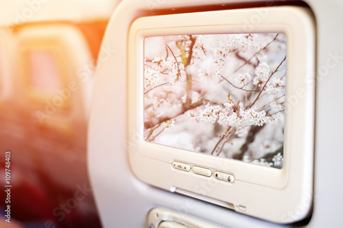 Aircraft monitor in front of passenger seat showing Little bird