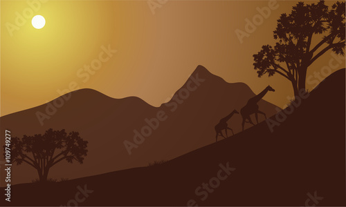 Giraffe silhouette on the hill