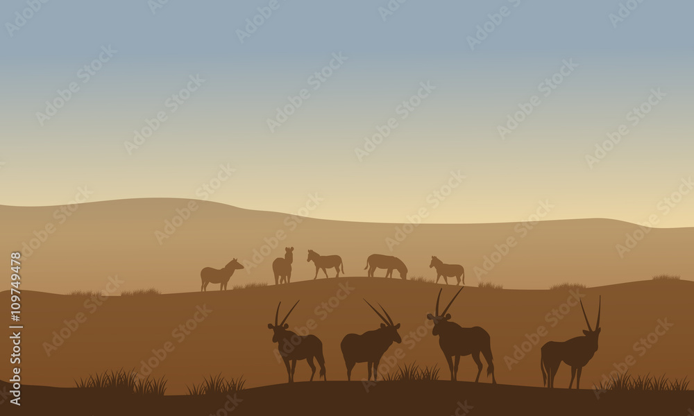 Antelope and zebra on the hills