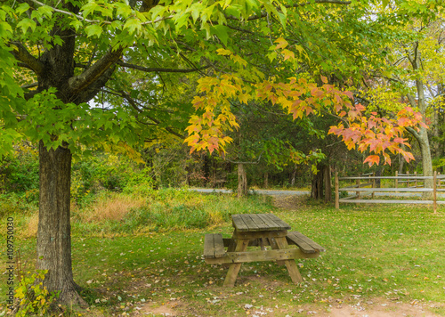 Принти на полотні Fall in Claude Moore Park, VA