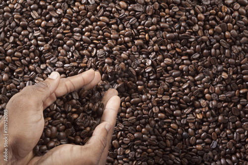 close-up shot of human hands with coffee beans.
