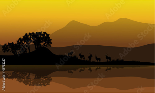 Silhouette of antelope in riverbank