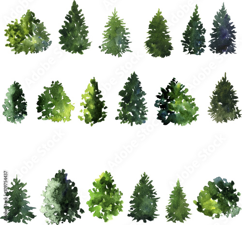 Fototapet set of trees drawing by watercolor