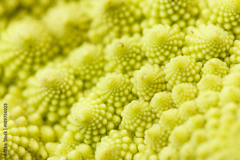 romanesko broccoli romanesko broccoli