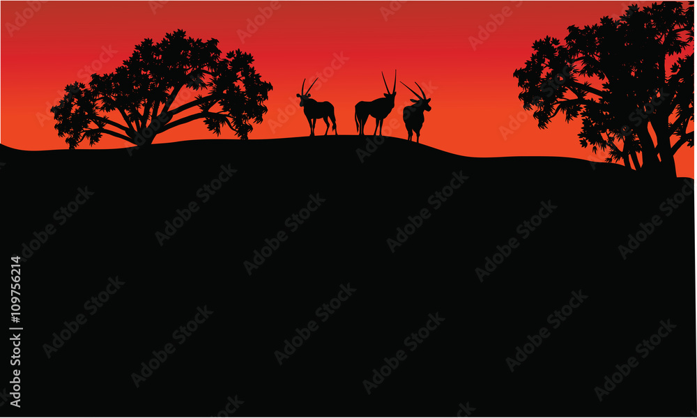 Antelope group in hills scenery