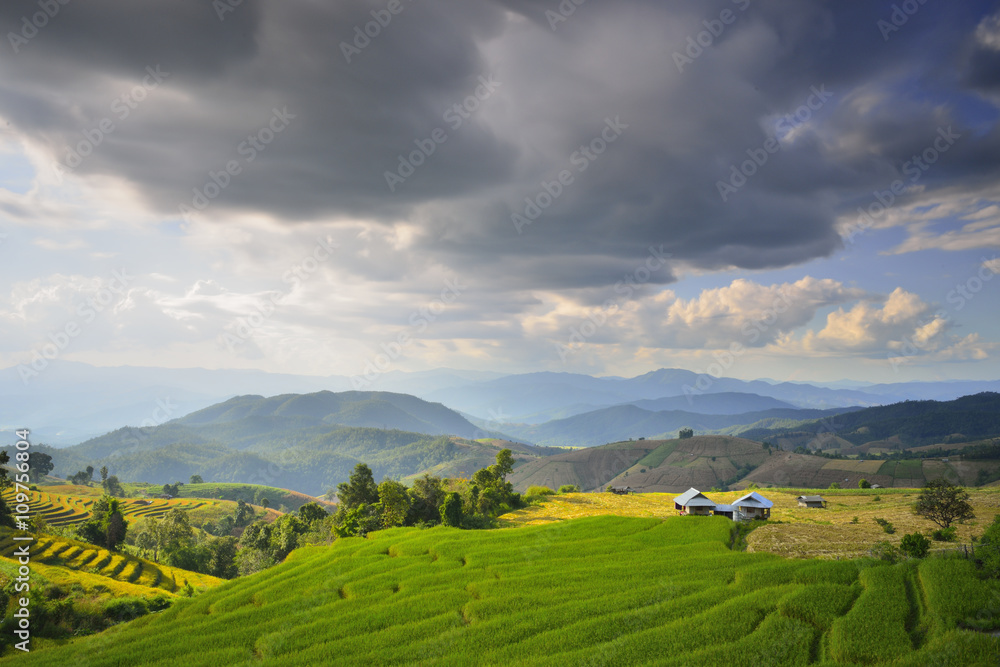 Obraz premium The beautiful sunset at Terraced Paddy Field in Mae-Jam Village , Chaingmai Province