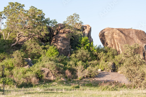 Huge field stone with trees and bushes in savanna against sky background. Serengeti National Park, Tanzania, Africa. 