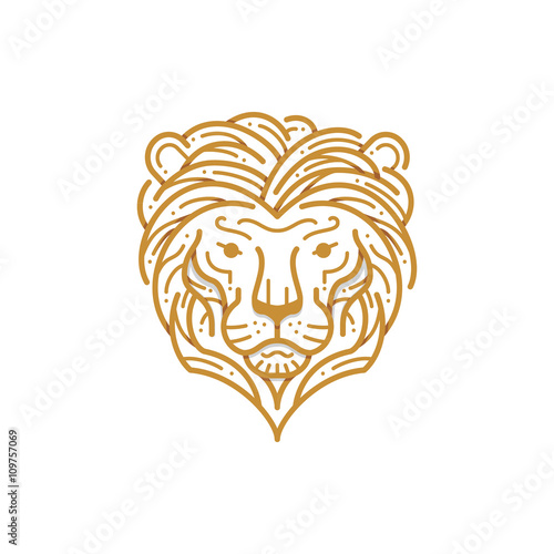 Lion head line illustration