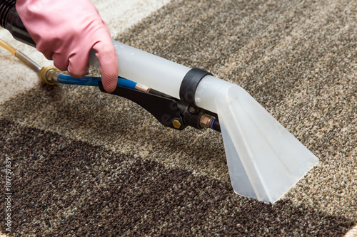 Carpets chemical cleaning with professionally extraction method. Early spring cleaning or regular clean up.