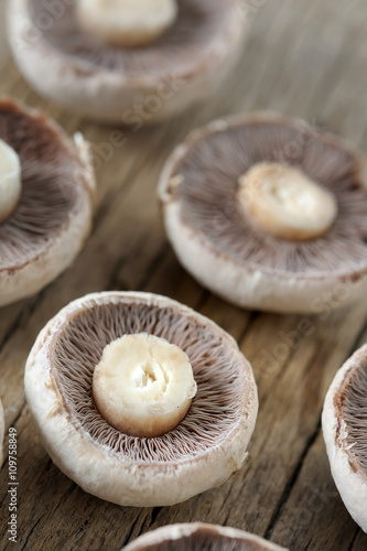 Champignon mushrooms sliced