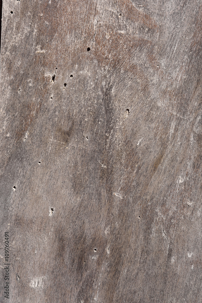 Old wood texture Old wood texture