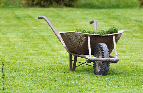 Old wheelbarrow on a lawn with fresh grass clippings in summer