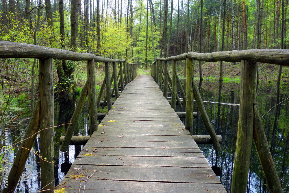 footbridge path on trail in forest
