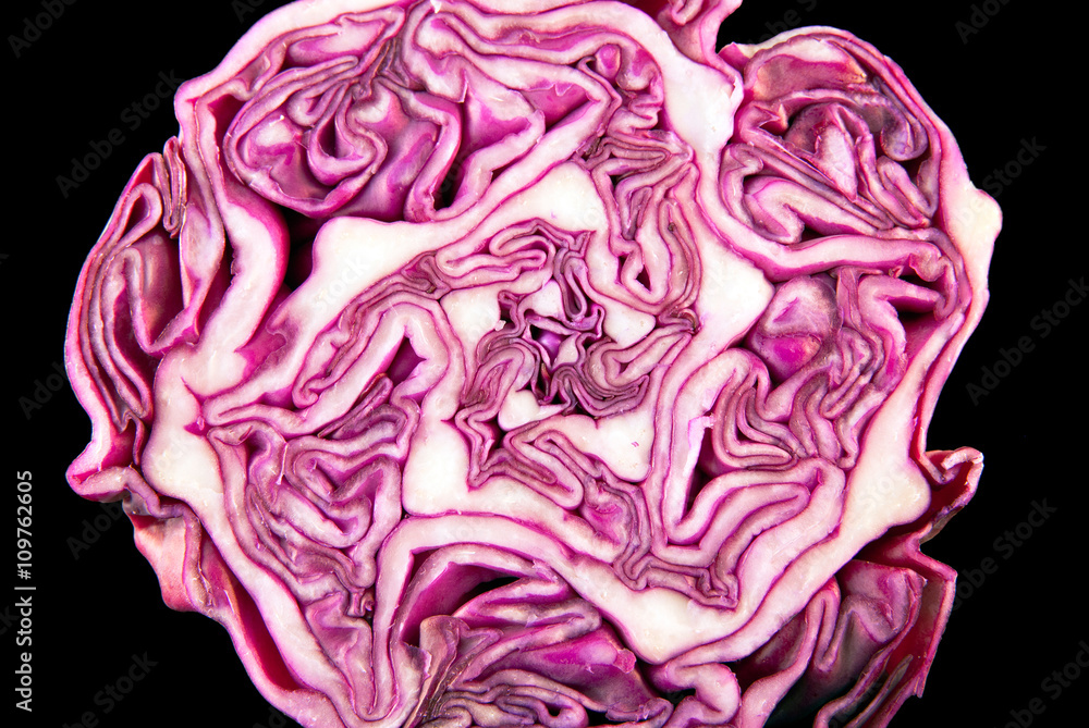 Obraz premium Cut red cabbage
