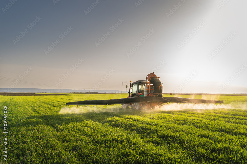 Obraz premium Tractor spraying wheat field