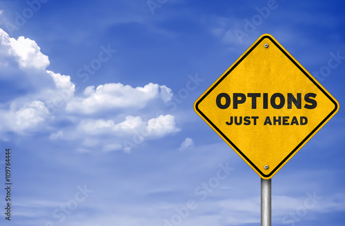 Obraz na plátně Options just ahead - road sign concept