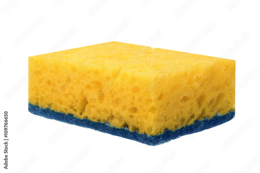 Single New Absorbent Sponge With Hardwearing Scourer Isolated On