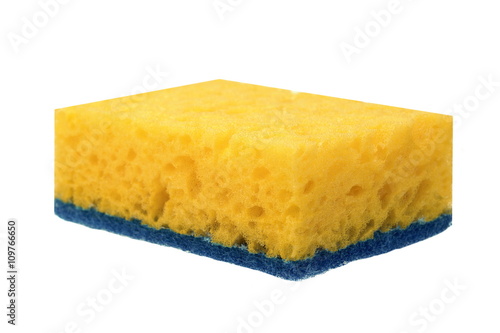 Single New Absorbent Sponge With Hardwearing Scourer Isolated On