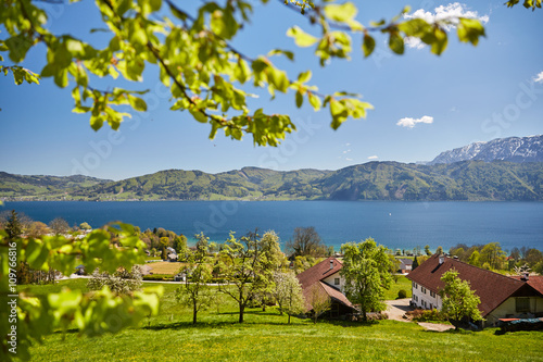 Nussdorf at lake Attersee with meadows and mountains