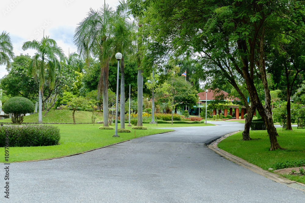 Green nature on public park Green nature on public park