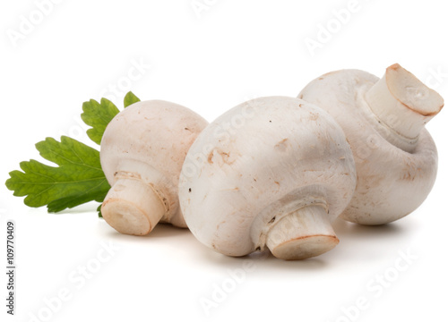 Champignon and parsley herb still life isolated on white backgro