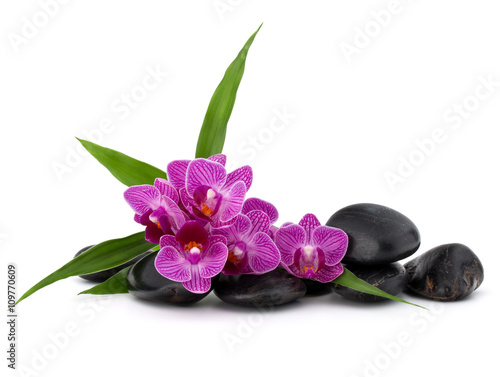 Zen pebbles and orchid flower. Stone spa and healthcare concept.