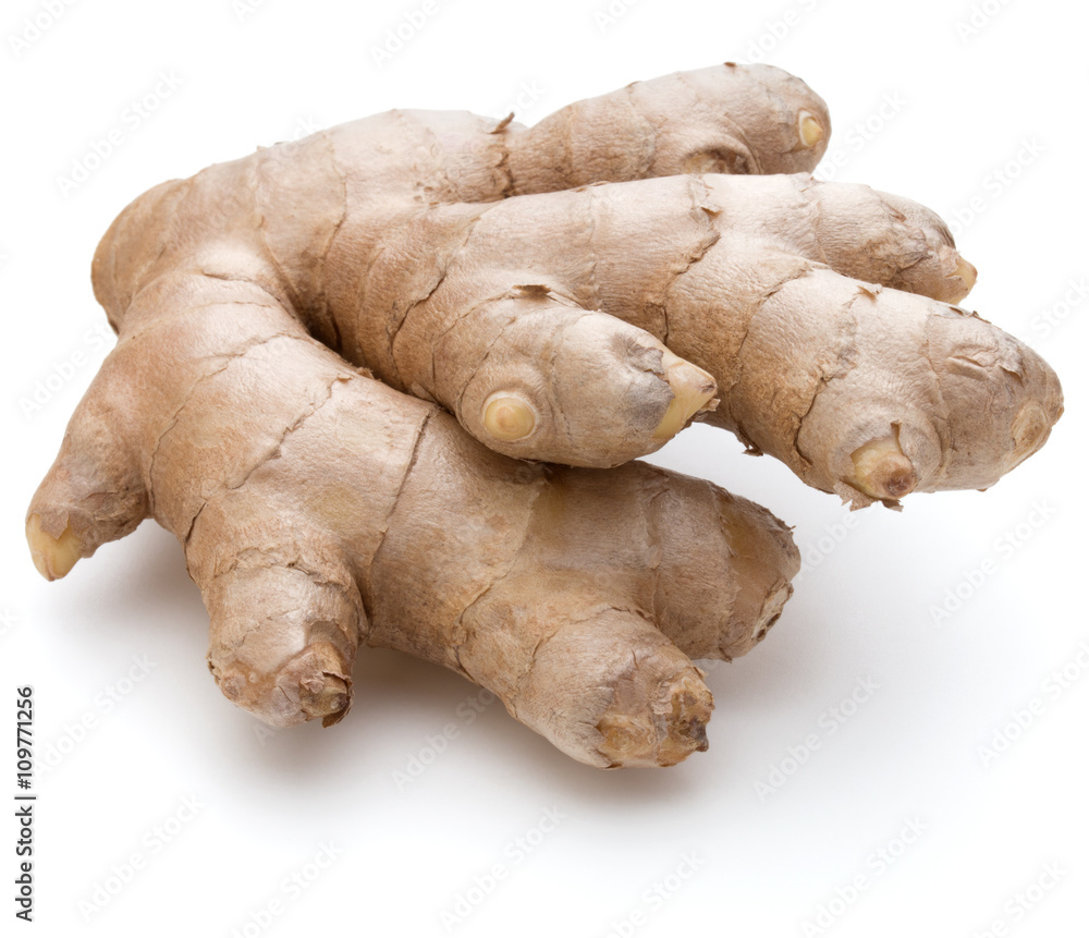 Fresh ginger root or rhizome isolated on white background cutout Fresh ginger root or rhizome isolated on white background cutout
