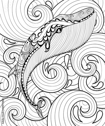 Vector zentangle whale in sea, print for adult coloring page A4 