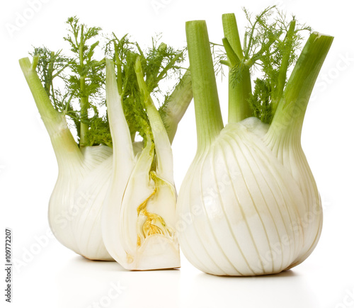 Fresh fennel bulb isolated on white background close up photo