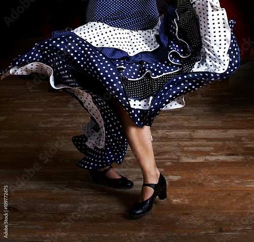 Fotografie, Obraz Legs of a woman flamenco dancing in traditional clothing