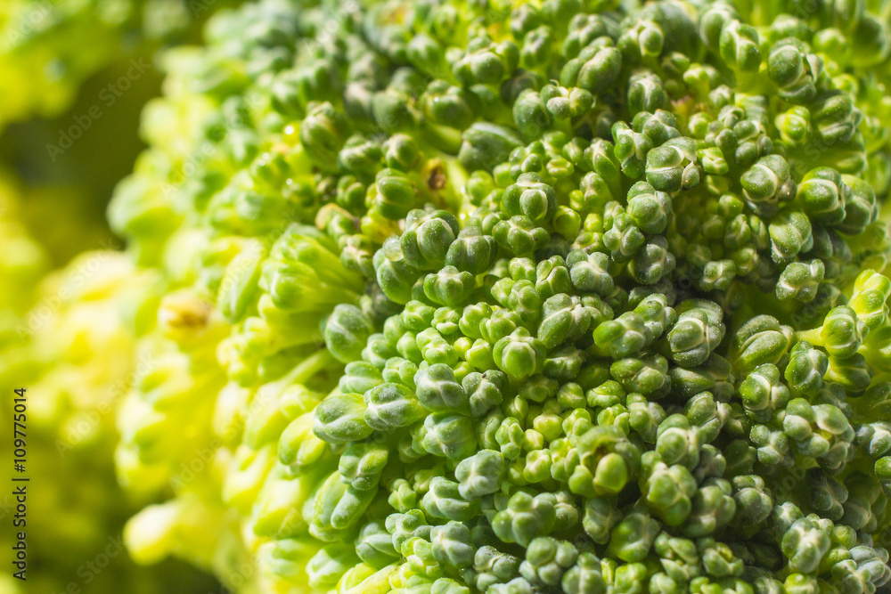 broccoli broccoli