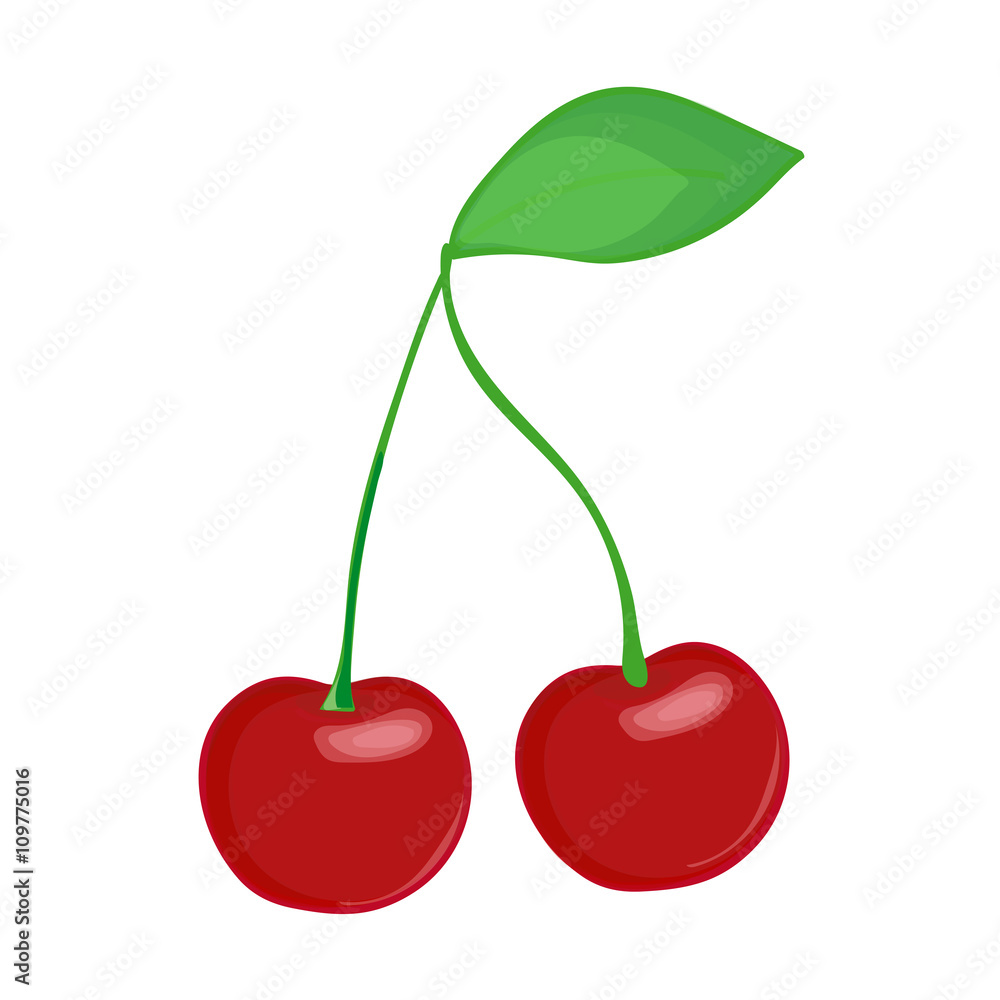 Cherry branch on white background. Hand drawn berries. Vector illustration. Cherry branch on white background. Hand drawn berries. Vector illustration.