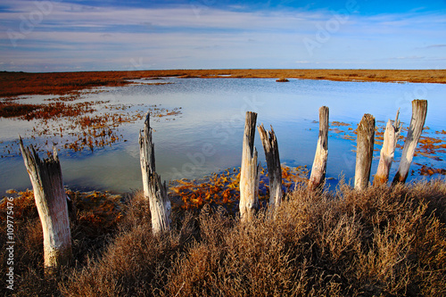 March landscape with old broken fence, summer day with blue water and sky, Camargue, France