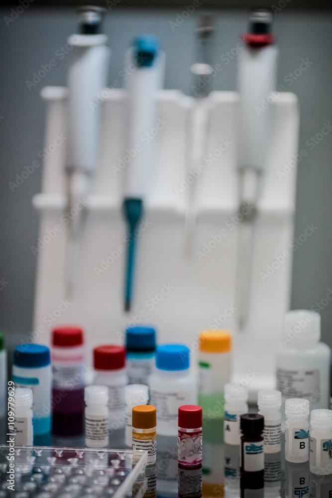 Set for the study (table with instruments, pipettes and samples) Set for the study (table with instruments, pipettes and samples)
