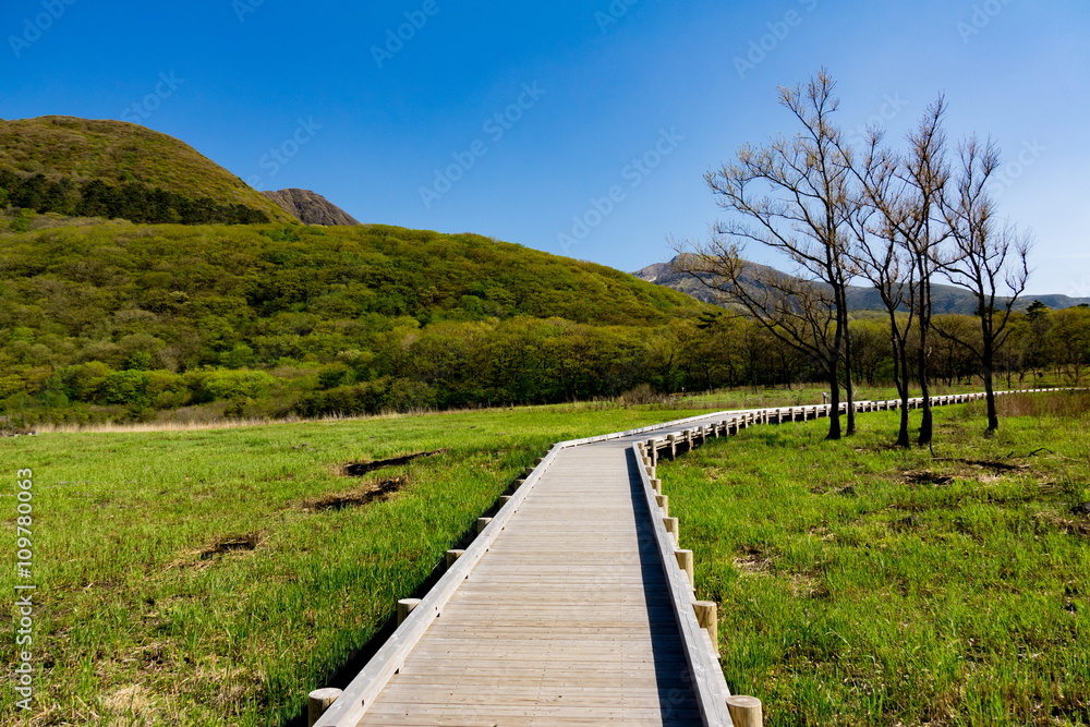 たで原湿原