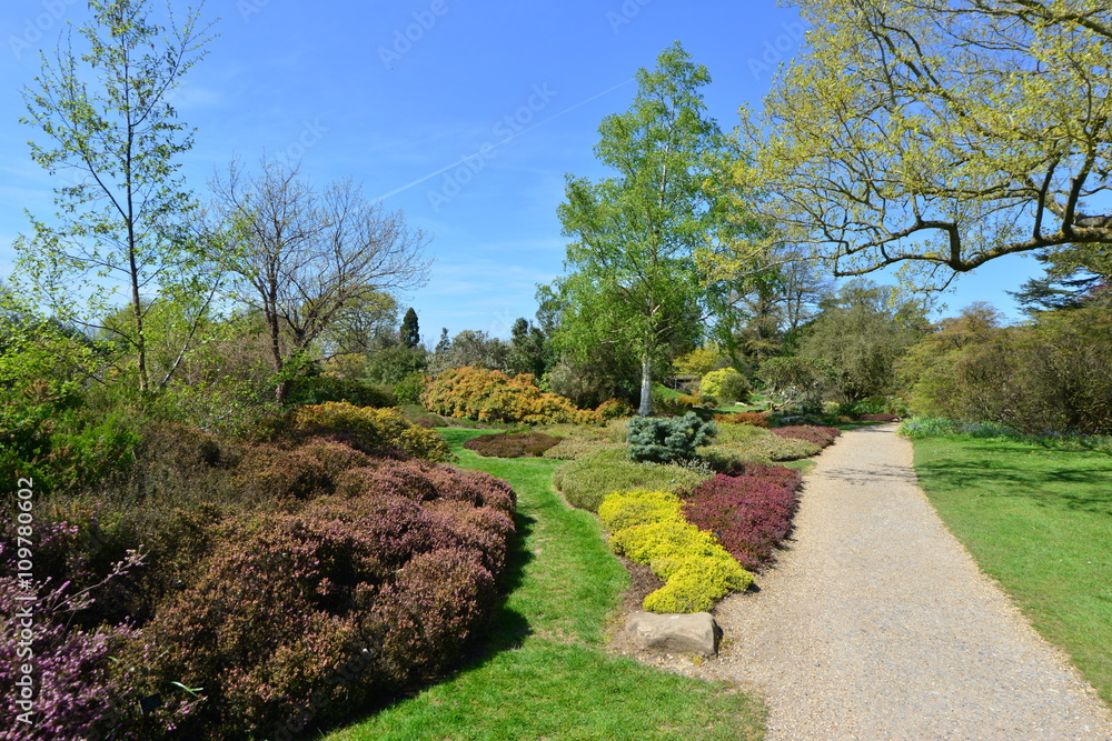 An English country garden in early springtime.
An English country garden in early springtime.