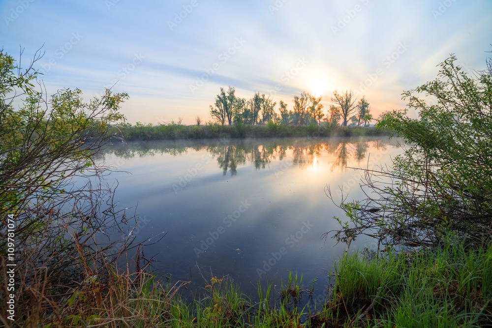 Obraz premium The Springtime Shoreline of a Foggy Mountain Lake at Sunrise