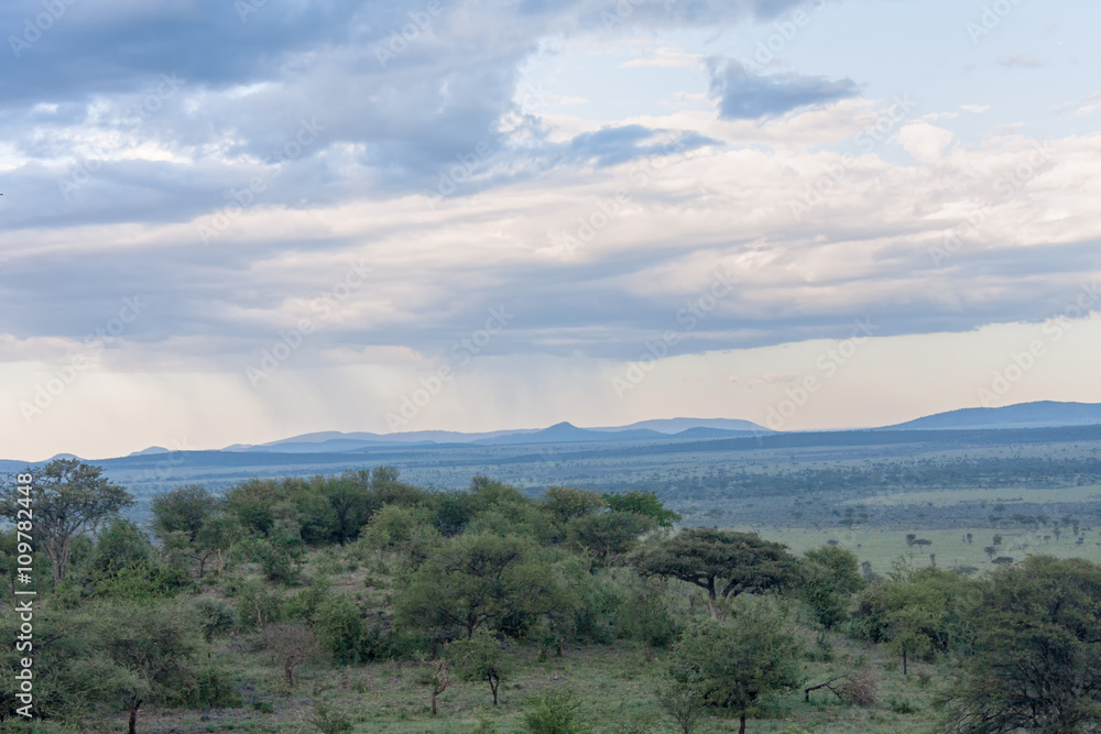 Savanna plain with storm cloudy sky background against distance view of mountain. Serengeti National Park, Tanzania, Africa. 
