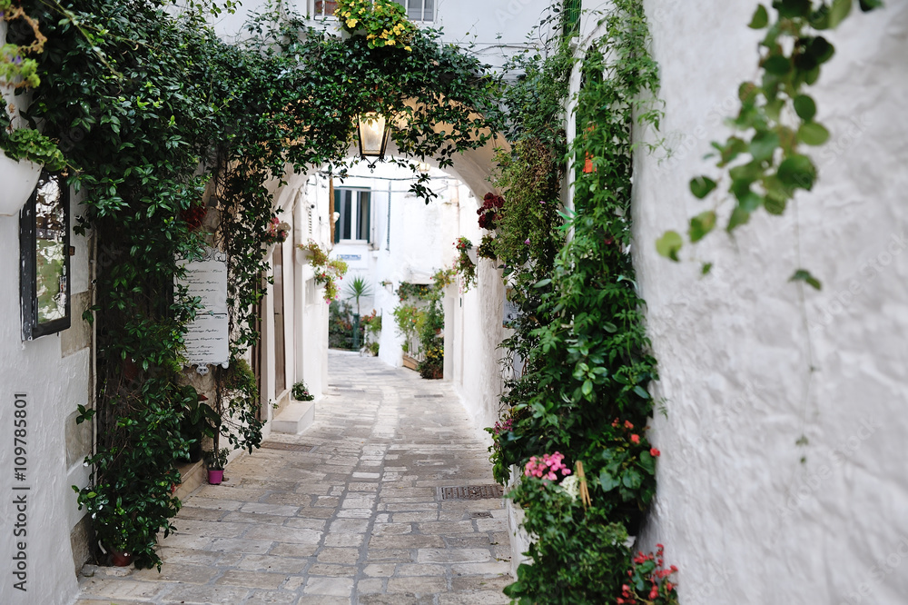 beautiful view of scenic narrow alley with plants, Ostuni, Apulia, Italy - obrazy, fototapety, plakaty 