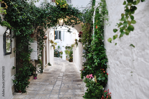 Obraz na płótnie beautiful view of scenic narrow alley with plants, Ostuni, Apulia, Italy w salonie