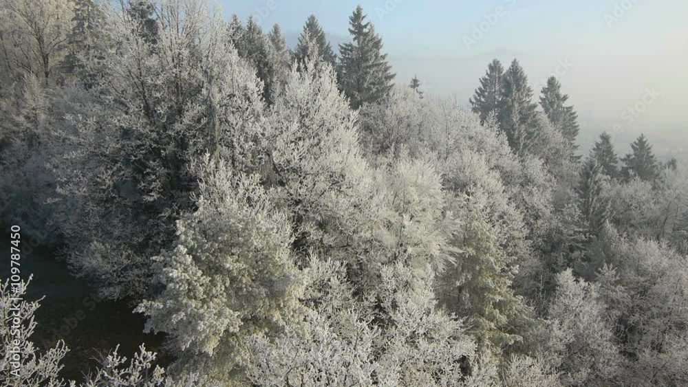 Aerial perspective, slowly raise and left pan, over frosty sunny forest and landscape.
