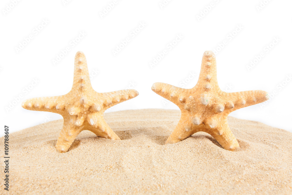 Starfish on the Sand. Vacation concept Starfish on the Sand. Vacation concept