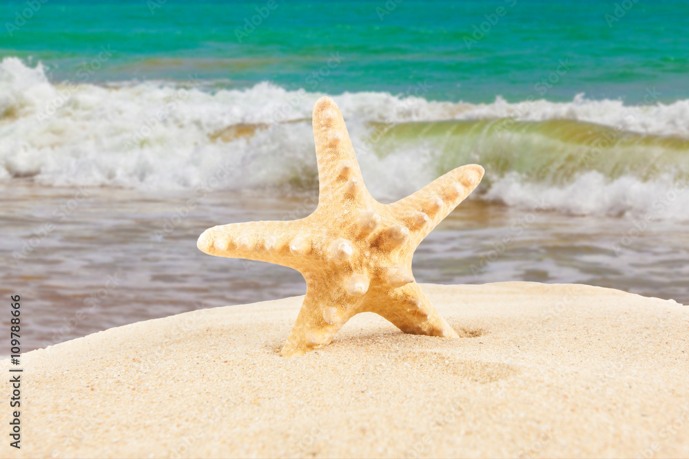 Summer concept. starfish on a beach Summer concept. starfish on a beach