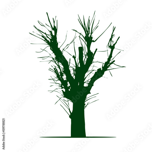 Green Shape of Tree. Vector Illustration.