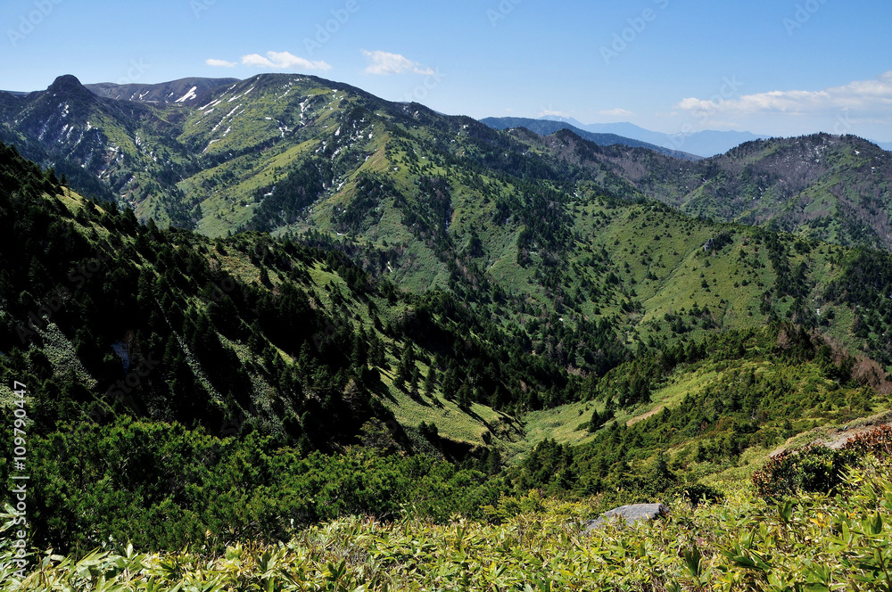 Naklejka premium 長野県 新緑の志賀高原 のぞき