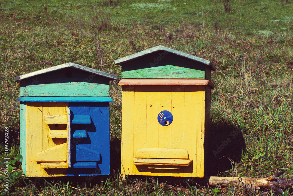 Two colourful wooden beehives. Lodges for bees Two colourful wooden beehives. Lodges for bees